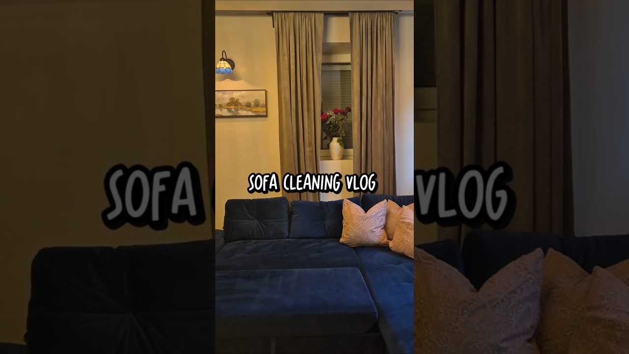 Amazon Finds | Sofa Cleaning At Home 