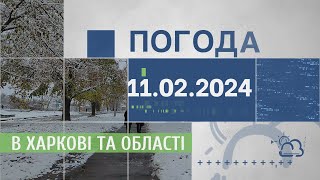 Прогноз погоди в Харкові та Харківській області на 11 лютого