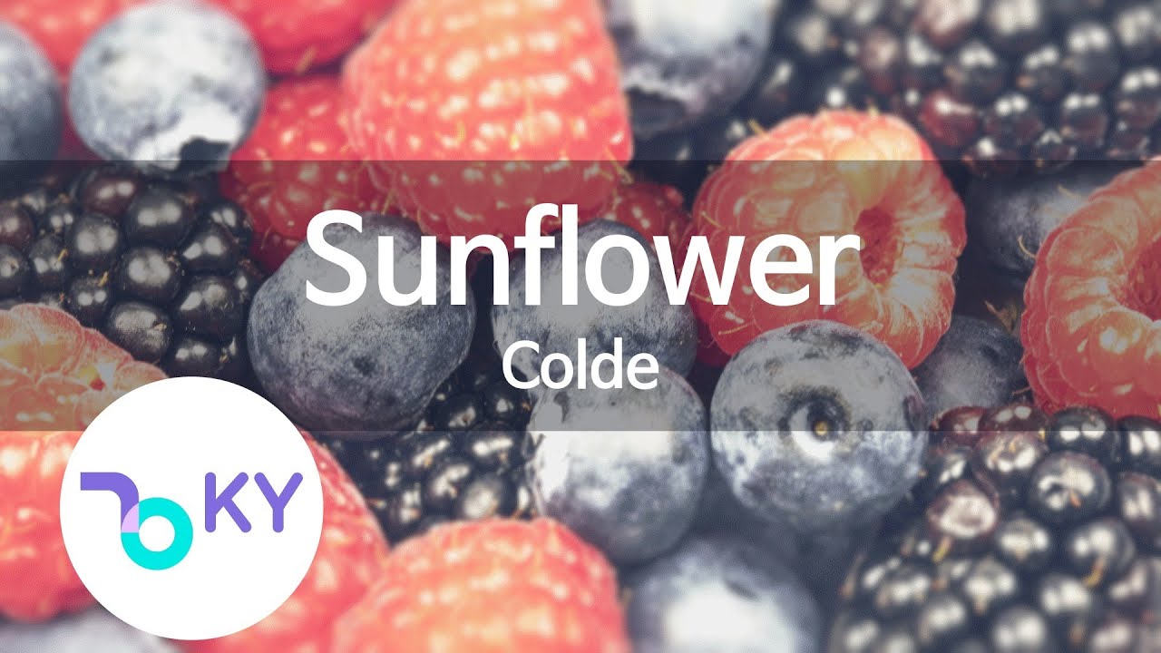 Sunflower Colde(콜드) (KY.92280) / KY Karaoke YouTube