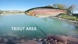 Pesca spinning ai laghi Lontra di CIano d'Enza (RE) - Trout Area