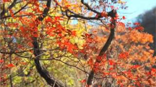 東方Moriya Set 05 Reedit 神々が恋した幻想郷ハウスリミックス