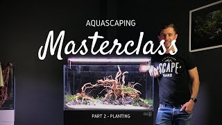 Aquascaping Masterclass | Step by Step Aquascape Tutorial - Part 2