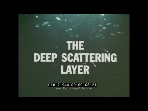 OCEANOGRAPHIC RESEARCH OF DEEP SCATTERING LAYER BY SONAR AND HYDROPHONE 21944