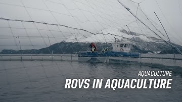 Using ROVs in Aquaculture | Aquaculture