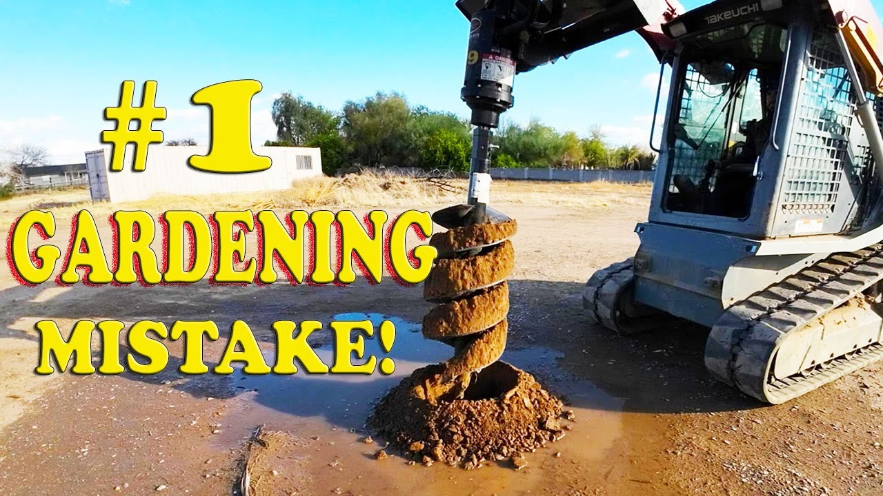 Everybody Makes This Mistake In Gardening!