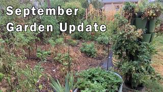 Garden Update For September: It's Been A Rough Summer