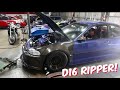 Clean Civic gets Tested! Gordo makes huge Cage Progress!