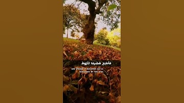 وَاضْرِبْ لَهُمْ مَثَلَ الْحَيَاةِ الدُّنْيَا..(سورةالكهف)