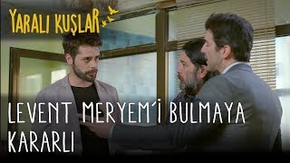 Levent Meryem'i Bulmaya Kararlı | Yaralı Kuşlar 57. Bölüm