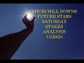 FUTURE STARS STAKES ANALYSIS   CHURCHILL DOWNS   NOVEMBER 30,2024