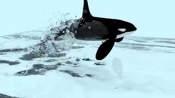 Blender Fluid Simulation: ブレンダー　水　流体