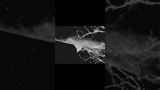 new LP by Through a Glass, Darkly #doomgaze #postrock #ambientmusic #newmusic