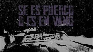 AIRBAG - El Hombre Puerco