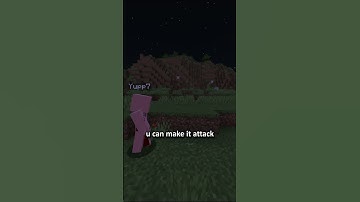 day 229 of making a Minecraft plugin everyday till 4,038 subscriber