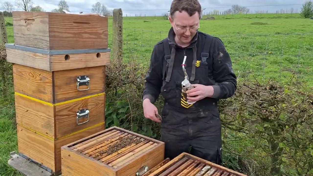 opbouw broed beperking, renson