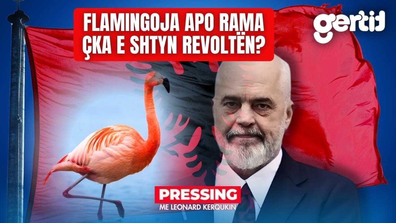 Flamingoja apo Rama - Çka e shtyn revoltën? | PRESSING | T7