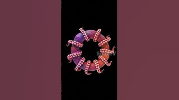 Morphing Alphabets V1