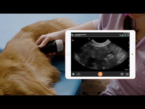 Clarius Introduces Three New Ultra-Portable Wireless Smartphone Ultrasound Scanners for Veterinarians at the VMX Expo