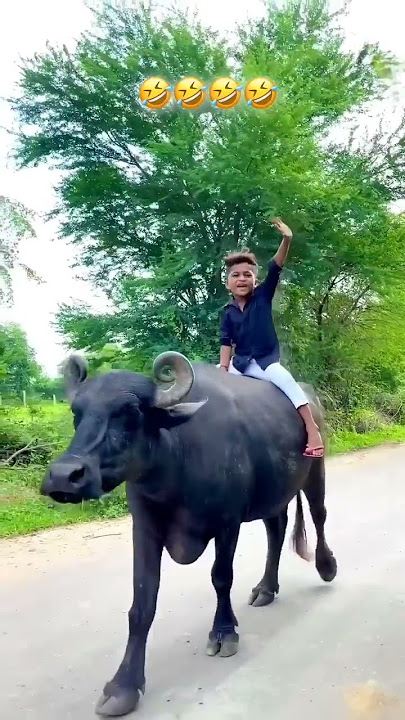વાલા મારા..😂😯🤣|Tappu Parmar#shorts #tappuparmar #explore #gujarati #gujju #funny #funnyvideo #comedy