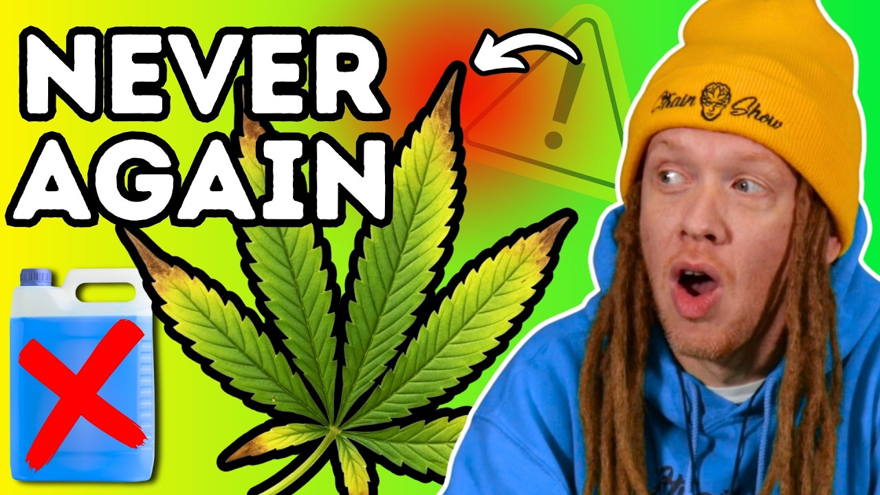 Burned Leaf Tips? Here’s How To Fix Them