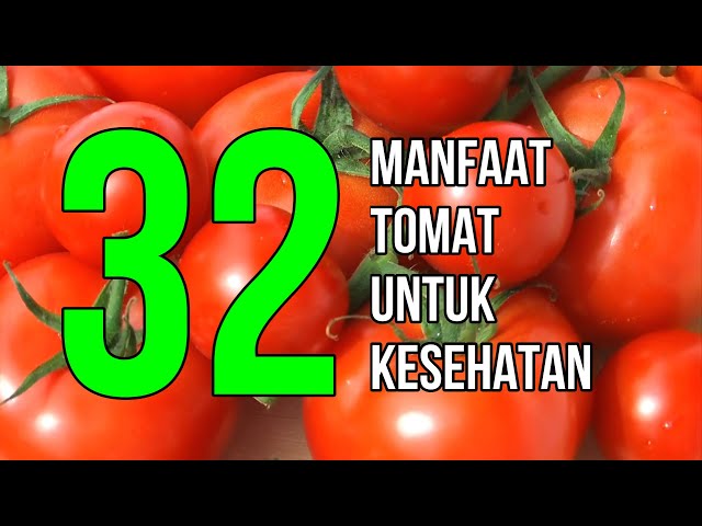 Masya Allah, Inilah 32 Manfaat Tomat Untuk Kesehatan dan Kecantikan class=