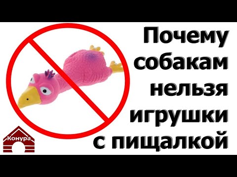 177. Почему собакам нельзя давать игрушки с пищалкой