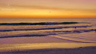 🦋 HD VIDEO • BEAUTIFUL AMBER & AMETHYST SUNSET • OCEAN BEACH WAVES • THERAPY • ARTIST EMERALD 🦋