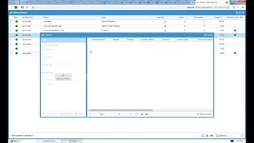Licenses Servers Report