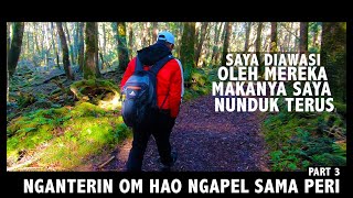 Followed by Supernatural Beings in Aokigahara pt.3 | Om Hao & Citra Prima