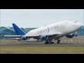 Dreamlifter Oops