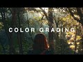 Color Grading | How and why we use FilmConvert to grade our videos