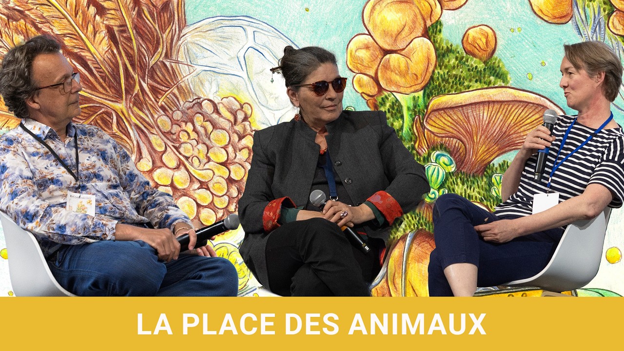LA PLACE DES ANIMAUX