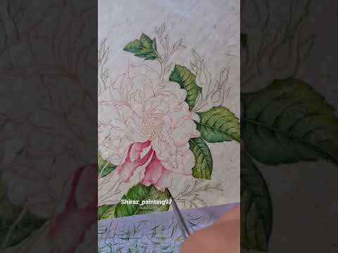 نحوه ی پرداز زدن گلبرگ گل صد پر