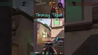Detective TImmay strikes again (ACE). | #timmaytripod on #Twitch