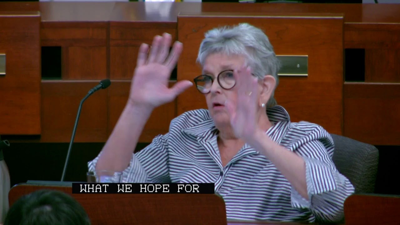 Planning and Zoning Commission - 06/06/2019