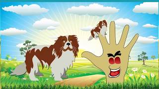 The Finger Family | Dog Finger Family Nursery Rhyme | Kids Animation Rhymes Songs (2018)