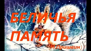 Беличья Память (Михаил Пришвин)