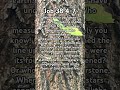 Job 38 4-7 #Jesus #bible #bibleverse #verse #verseoftheday #scripture #oldtestament #thank #wisdom