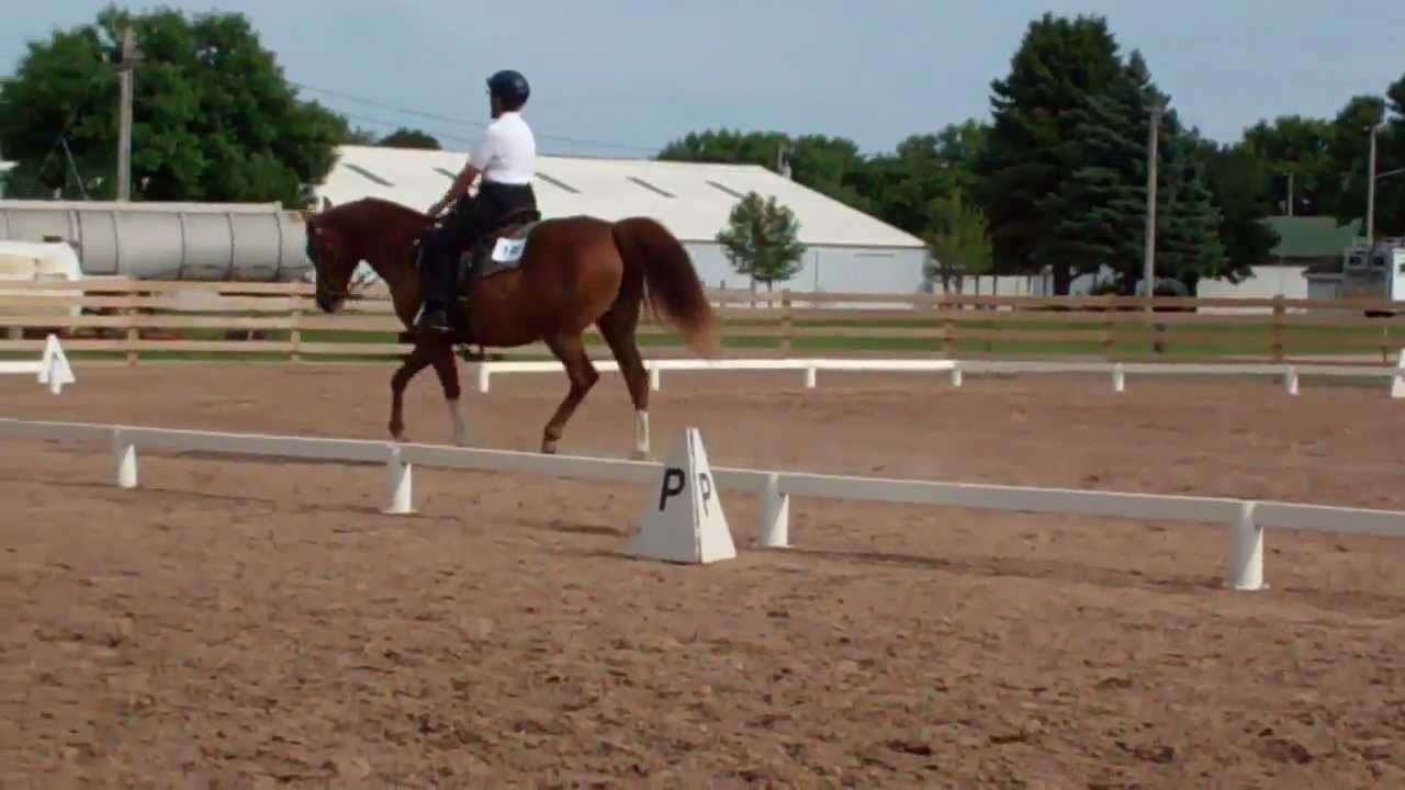 Western Dressage Arabian style YouTube Western Dressage Arabian style YouTube
