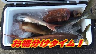 鳥山の下にベイトその下の大物(39話目)