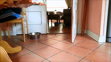 DFRobotShop Rover V2