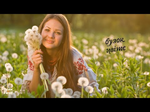 Ukrainian Music Lilac Blooms Українська музика Бузок цвіте