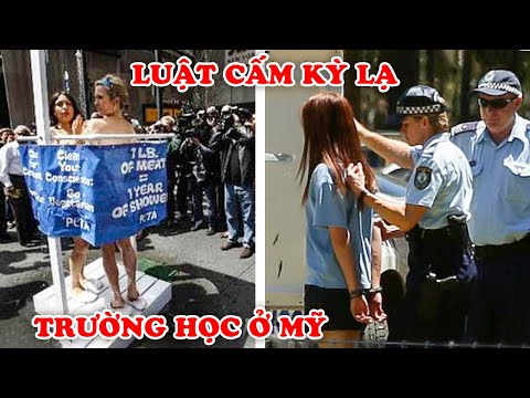 Video 9 Luật Cấm Điên Rồ Trường Học Ở MỸ Khiến Bạn Cảm Thấy... - YouTube