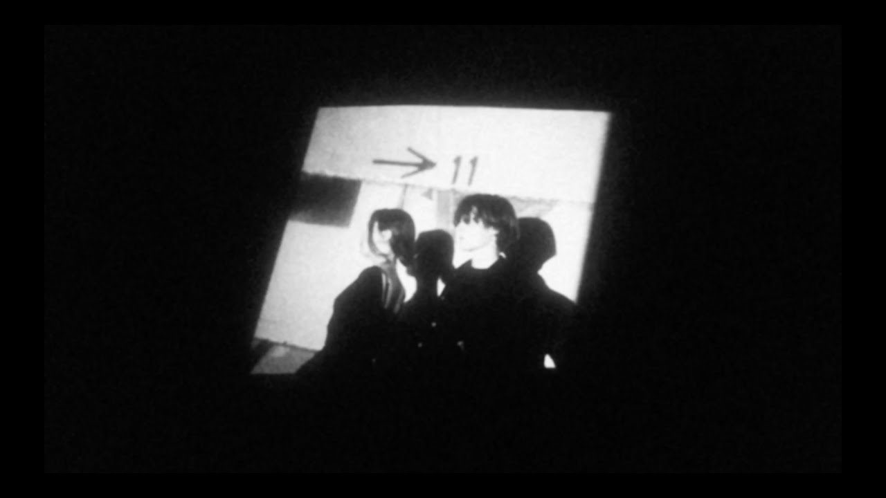 White Flowers - Within a Dream