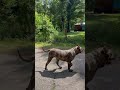 How To Pick A Stud Getyouapresa Presacanario Getyouapresa How To Pick A Stud Getyouapresa Presacanario Getyouapresa