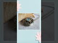 Turquoise Crystal Music Box Locket
