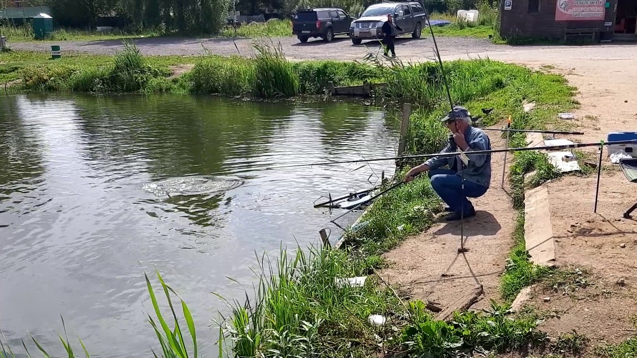 Ледово платная рыбалка