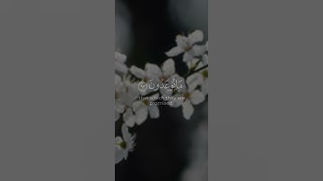 ﴿قُلْ رَبِّ إِمَّا تُرِيَنِّي مَا يُوعَدُونَ﴾ - [سورة المؤمنون]