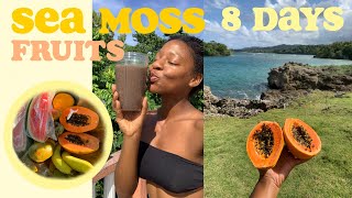 I Did a Sea Moss & Fruit Cleanse for 8 Days Straight! & WOW by T'keyah B 44,251 views 2 years ago 19 minutes