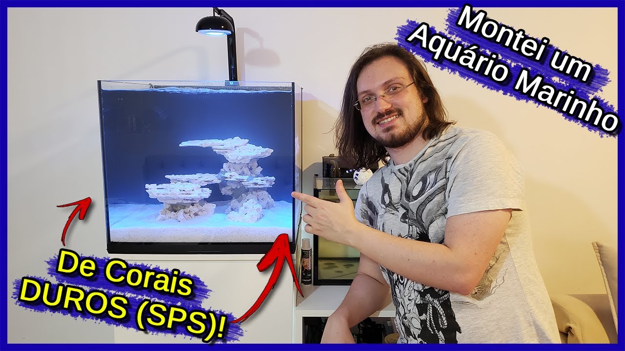 Montei um Aquário Marinho Pequeno de Corais DUROS (SPS) na minha CASA!